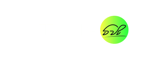 turtle logo